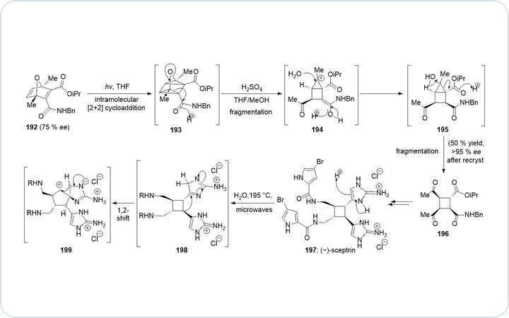 Sceptrin 反应机理的 ChemDraw 原生重绘